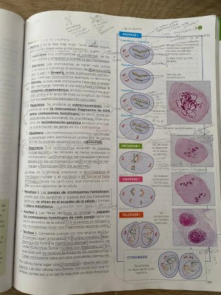 Biología 2 bachillerato, Operación Mundo