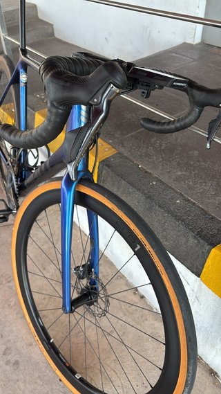 Bicicleta Giant TCR Talla L Azul
