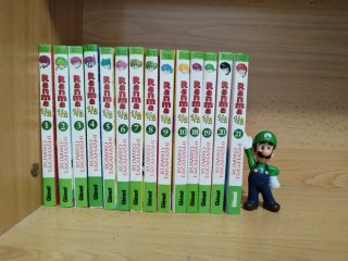 Ranma 1/2 Manga Glenat Español