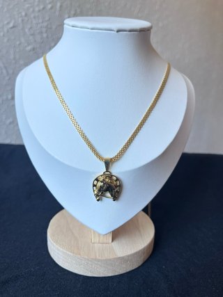 Cadena Oro Laminado 18k con Herradura