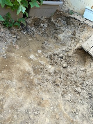REGALO tierra de jardín