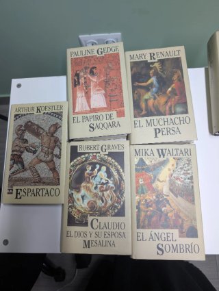 Lote de 11 libros novela histórica