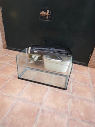 Pecera o terrario