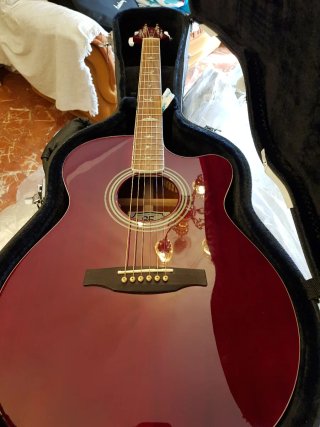Guitarra PRS Ángelus