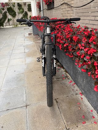 Orbea Oiz H30