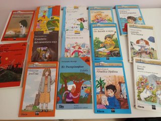 Lote 14 libros El barco de vapor