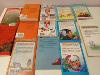 Lote 14 libros El barco de vapor
