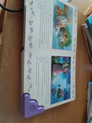 Libro de sueños encantadores