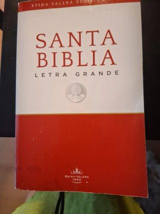 Santa Biblia con letra grande.