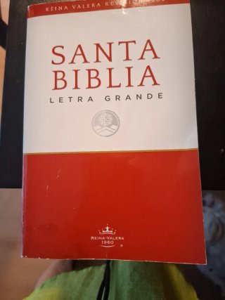 Santa Biblia con letra grande.