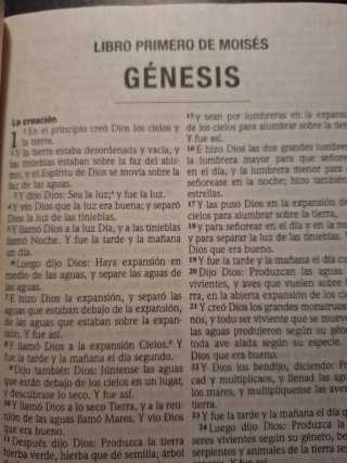 Santa Biblia con letra grande.