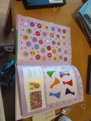 Libro de un mundo de princesas