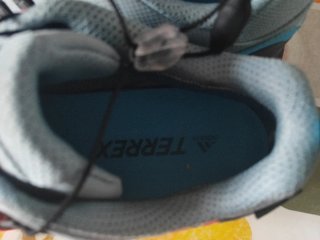 Adidas Terrex Swift R2 GTX W gris/rosa