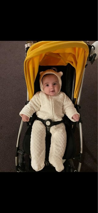 Silla de paseo Bugaboo Bee 5