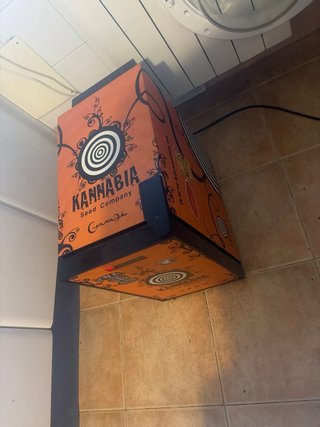 Neverita KANNABIA para vinos y semillas