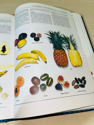 Libro de cocina: Cómo elegir, preparar, cocinar...