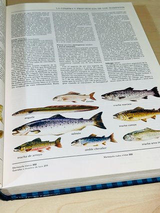 Libro de cocina: Cómo elegir, preparar, cocinar...