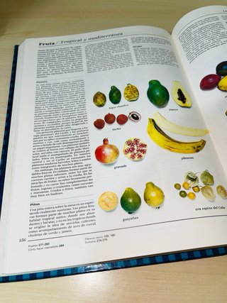 Libro de cocina: Cómo elegir, preparar, cocinar...