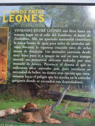DVD Viviendo entre Leones y Orcas Depredadoras
