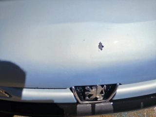Peugeot 206 2004
