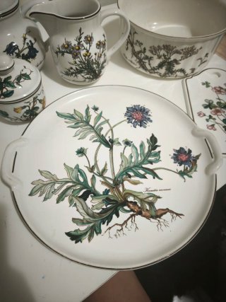 Lote Villeroy & Boch Botanica