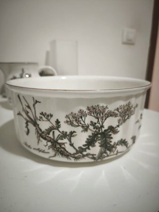 Lote Villeroy & Boch Botanica