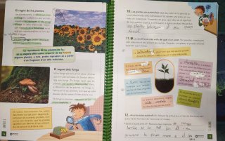 Libro Medi Natural 5