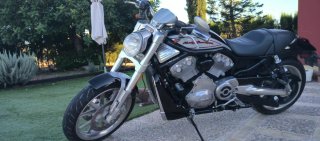 Harley Davidson V Rod VRSCr
