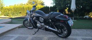 Harley Davidson V Rod VRSCr