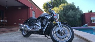 Harley Davidson V Rod VRSCr