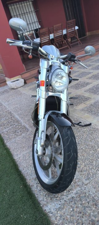 Harley Davidson V Rod VRSCr
