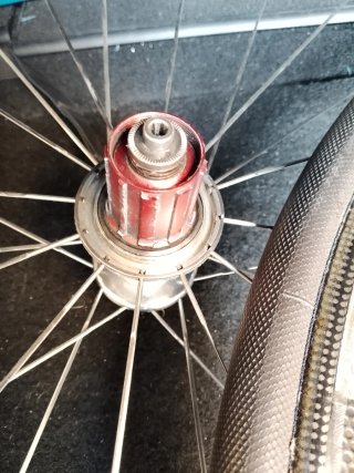 Zipp 202 Ruedas Carbono  con tubulares seminuevos