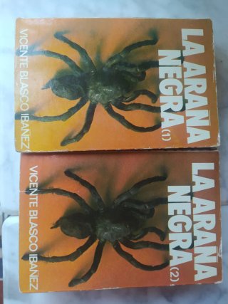 La araña negra