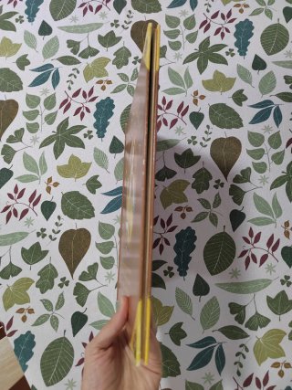 Libro cuento Petrosinella