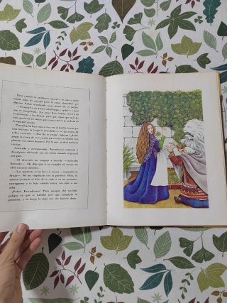 Libro cuento Petrosinella