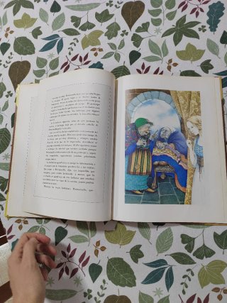 Libro cuento Petrosinella