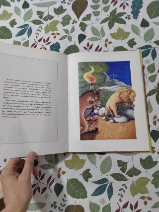 Libro cuento Petrosinella