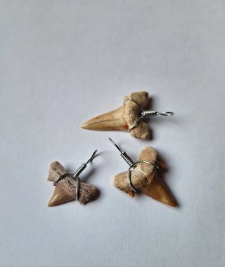 Fósiles  de tiburón Colgantes