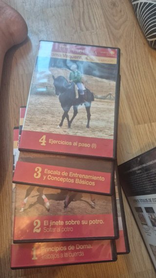 Dvd doma