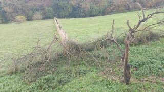 Se vende Parcela Urbana en Gijón.