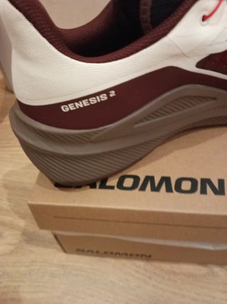 Salomon Zapatillas Running Rojas y Blancas