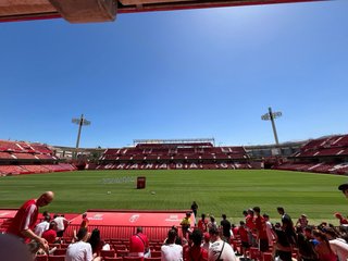 Balón Granada CF Firmado