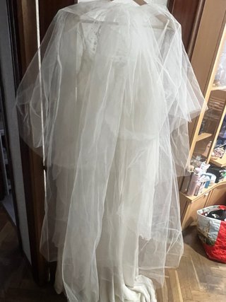 Vestido de Novia beis con Velo