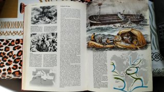 Enciclopedia ilustrada