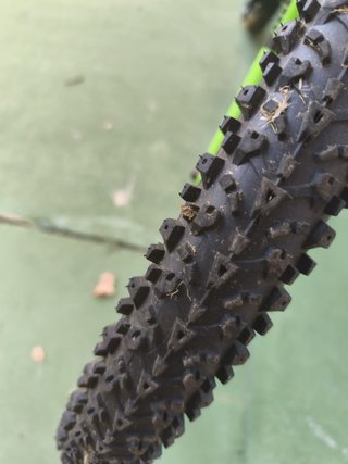 Bicicleta infantil verde