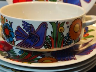 Villeroy & Boch Acapulco Set Vajilla
