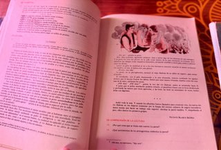 Lote 3 Libri EGB: Società, Lingua e Antologia