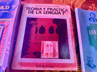 Lote 3 Libri EGB: Società, Lingua e Antologia