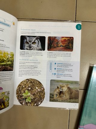 Coneixement del medi, 5 Primària, Projecte Cons...