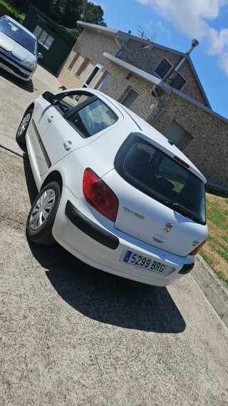 Peugeot 307 2001